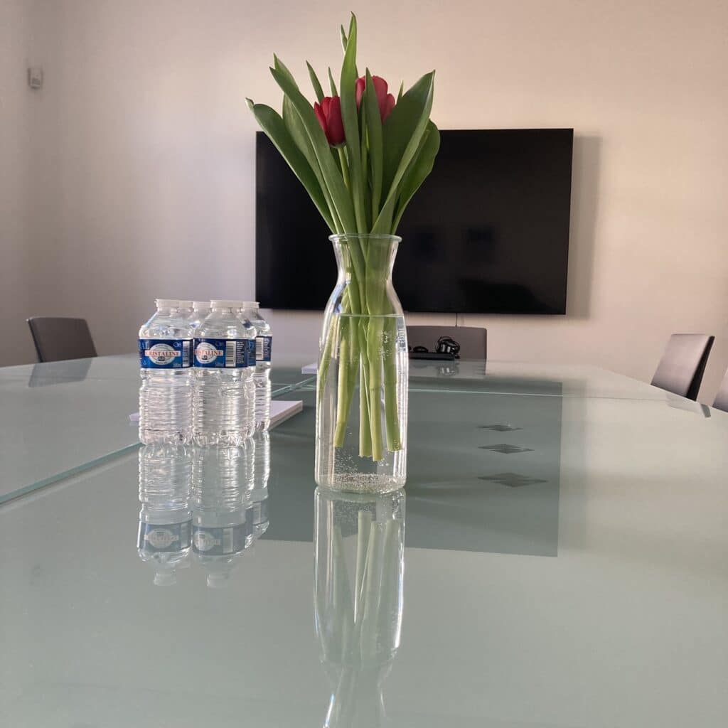 Za Business Institut stoja prevažne ženy
